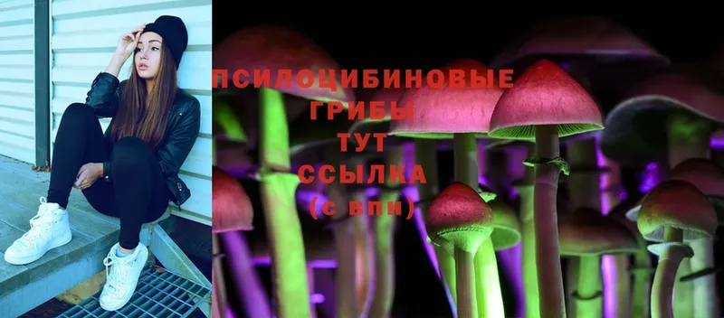 Галлюциногенные грибы Magic Shrooms  Партизанск 